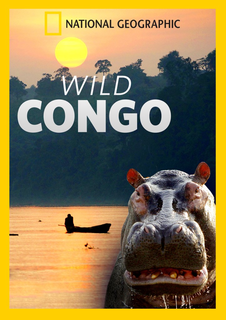 WildCongo_2D